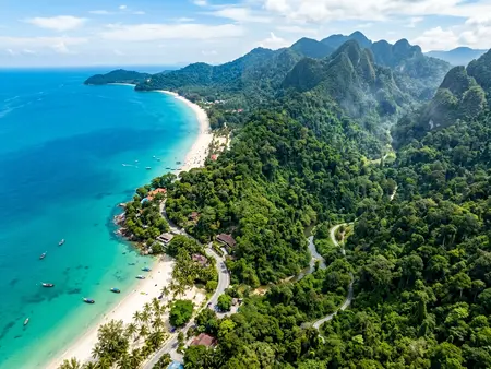 Incredible Diversity