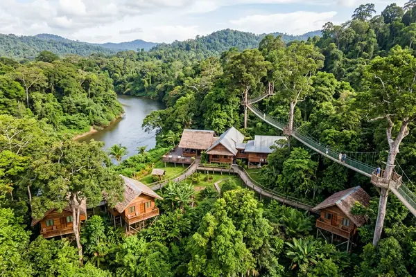Borneo Rainforest Lodge eco-lodge in pristine ancient Danum Valley rainforest