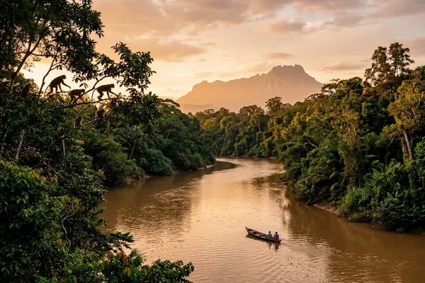 Borneo wildlife explorer honeymoon hero image