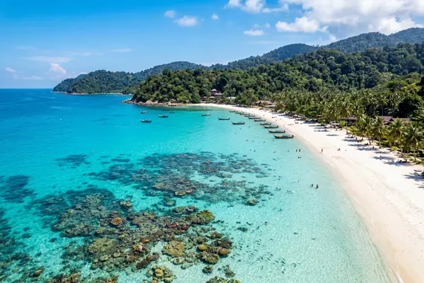 East coast and rainforest honeymoon hero image