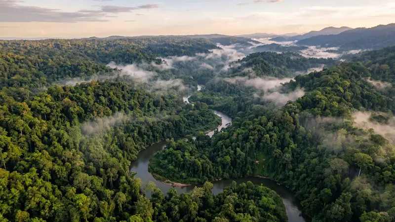 Borneo adventure honeymoon hero image