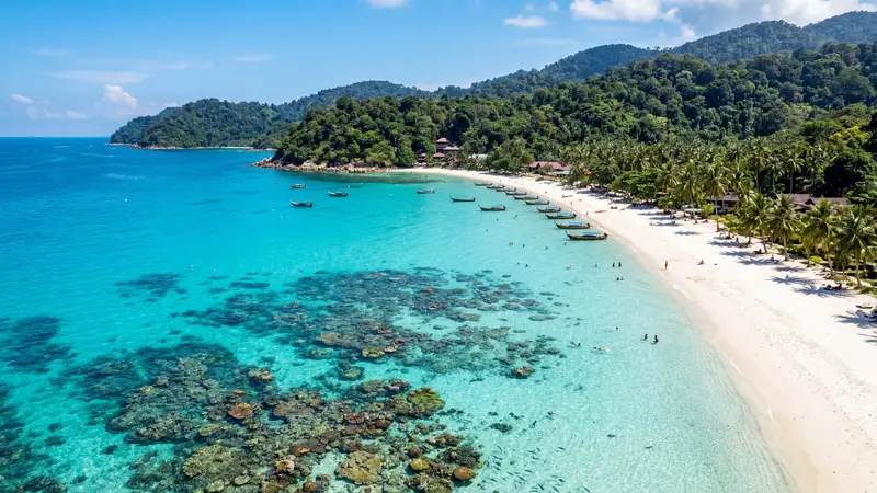 East coast and rainforest honeymoon hero image