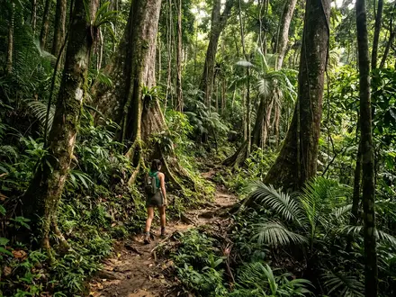 Tekek to Juara Trail