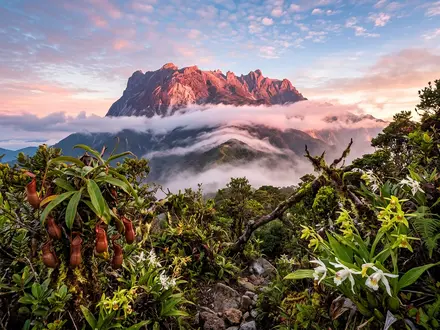 Mount Kinabalu Sunrise