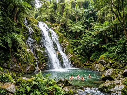 Robinson Falls Trail