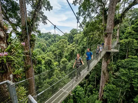 Canopy Walkway