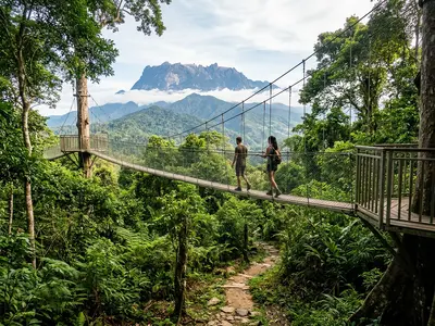 Borneo rainforest canopy with Mount Kinabalu in the background